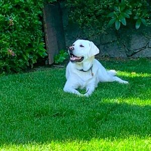 Meet your Posher, Tia